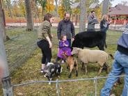 Halloween Party - Petting Zoo