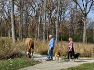 Riverwoods Residents, Howard and Ruth Konowitz out for a walk with their dogs and horse!