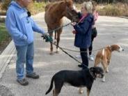Mayor Ford meets a horse, two dogs and their owners, Riverwoods Residents, Howard and Ruth Konowitz