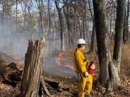 Worker in protective gear starting a controlled burn in the woods.