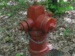 Image of Flange Bolt on fire hydrant