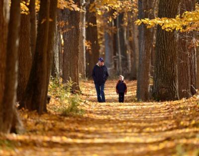 Man and child walking through Ryerson woods