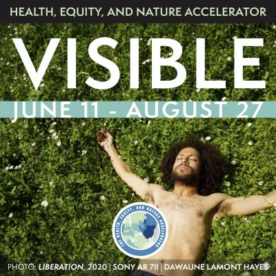 Visible Exhibition Advertisement for June 11 - August 27 | Shirtless Man lying in the grass
