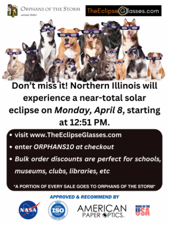 Orphans of the Storm Eclipse Glasses Fundraiser Flyer