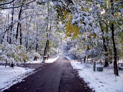 Image of Riverwoods road in winter photo by Michael Clayton, Village Trustee and Resident