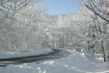Nature at its Best (Landscape) 60+ - Snowy Road | Photo by Leslye Winslow