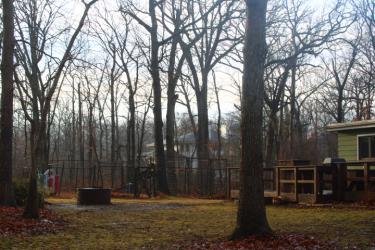 Hidden Gems 15-19 - Backyard | Photo by Grace Strickland