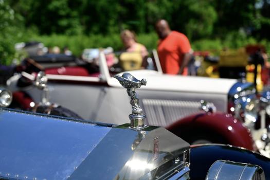  Cars in the Woods Miniature Display