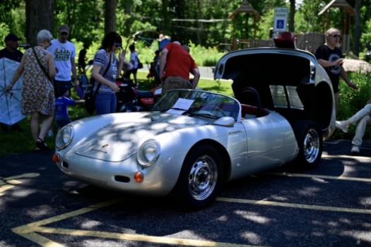 Cars in the Woods
